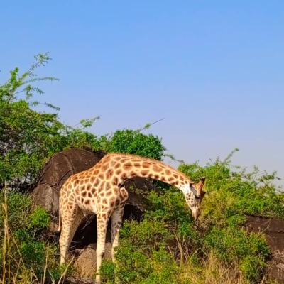 Img 20230917 Wa0022